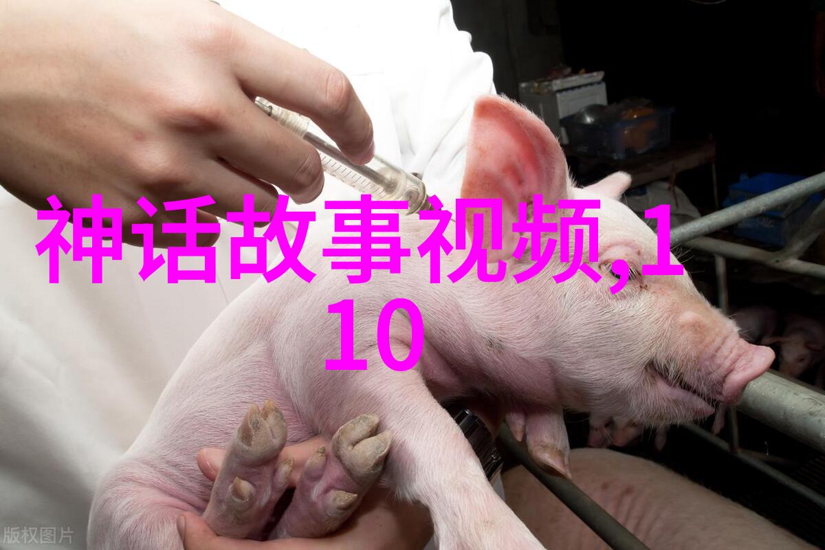中国历代王朝一览表我来给你讲讲那些年我们国家的辉煌与变迁