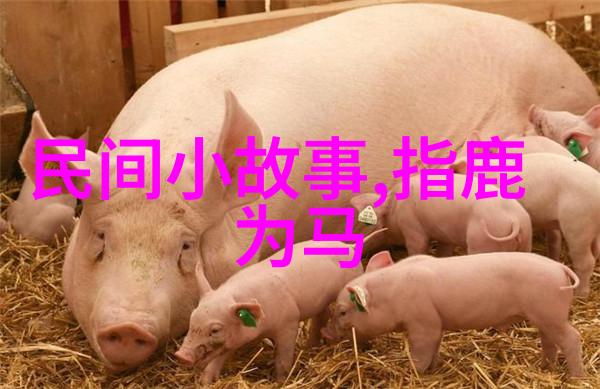清兵入关前明朝还有什么样的防御措施吗