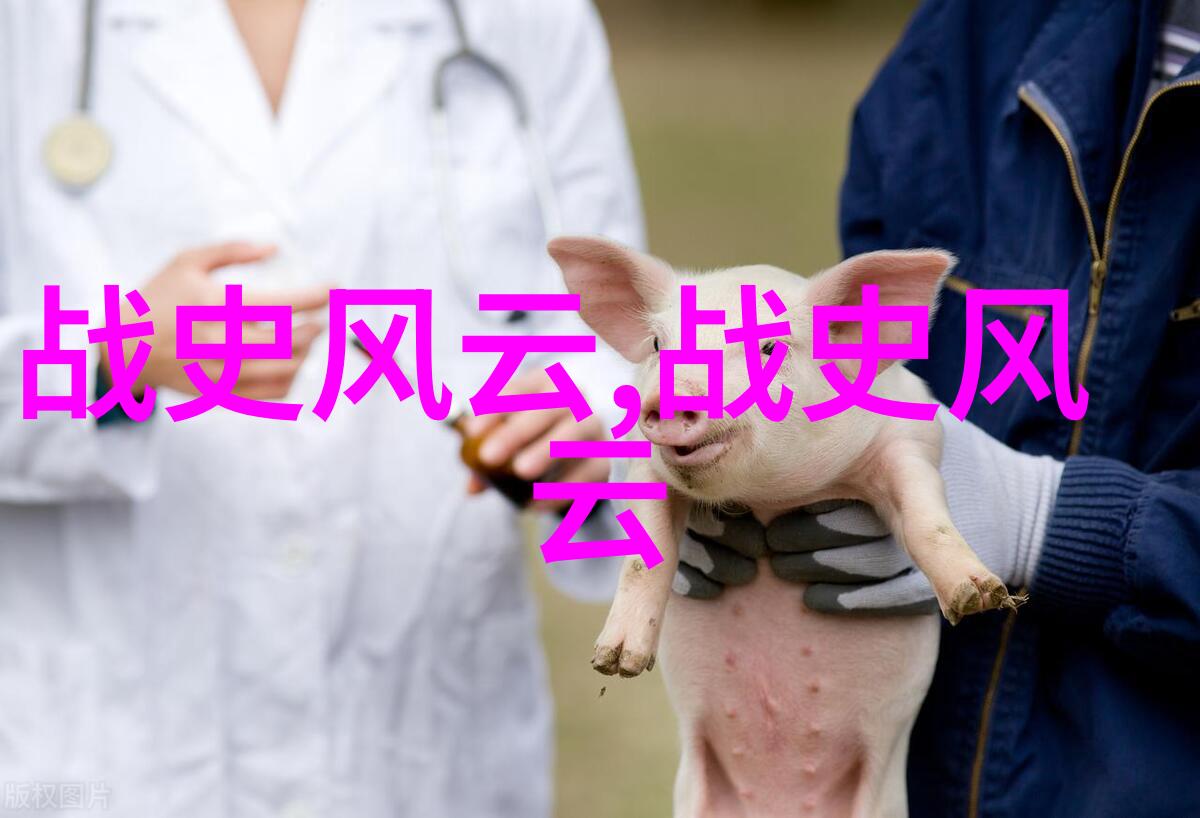 明末清初的隐秘交锋郑成功与吴三桂之间的真实故事
