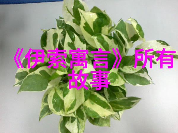 古籍中的秘密谁能揭开掏龙的神秘之谜
