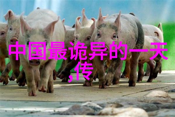 全班同学的目光集中在我身上当着大家的面我静心专注努力将难题攻克最终顺利拿下高分这份成就感让我深刻体会