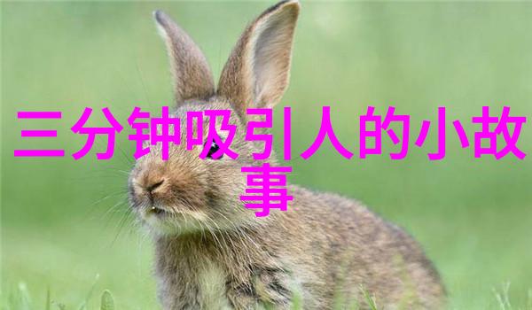 末世法师揭秘我如何在废土中重铸希望的火焰