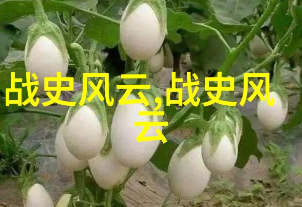 朱玲河南豫剧经典唱段下载探索豫剧旦行演员的艺术世界