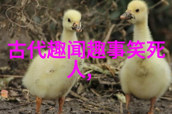 关羽出生之谜犹如近代史上的璀璨星辰照亮了古老传说的篇章