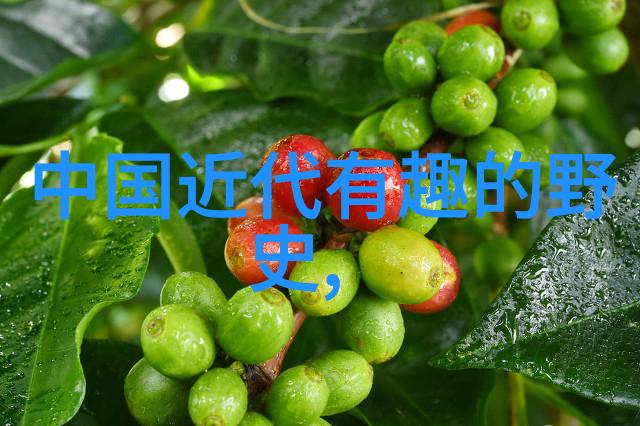 解读中国古代神话故事中的文化象征与宗教寓意一项跨语言的学术探究