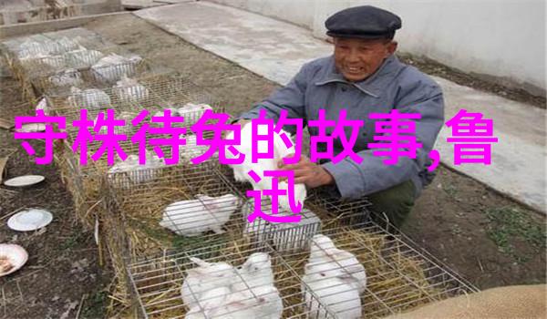 中国古代神话故事精选传说中的龙凤与太阳神