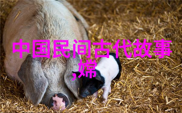笑傲千古古代英雄的日常生活