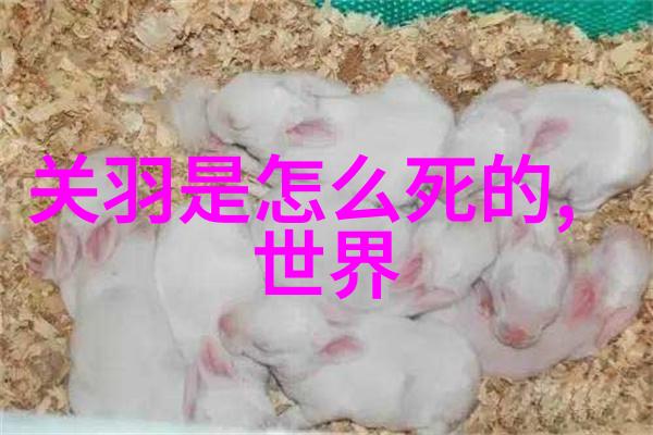 神话之旅阿特米斯与野兽的秘密