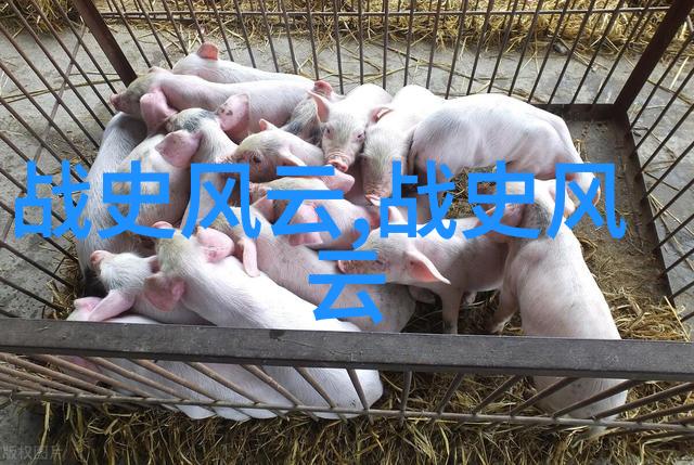 替身皇妃慕容湮儿穿越之谜与宫廷斗争