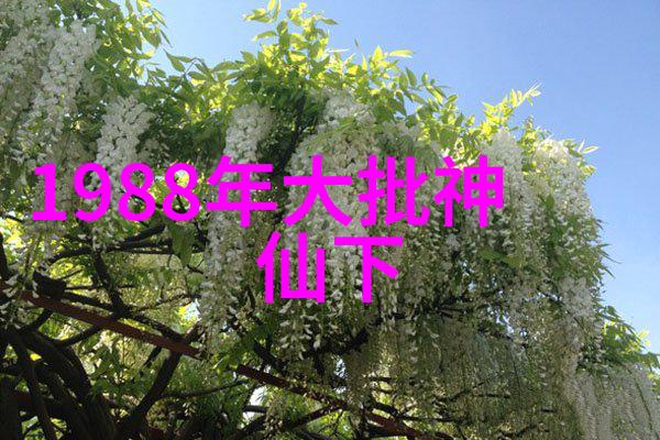 索海燕曲剧全场戏大全 全集在社会的舞台上演绎
