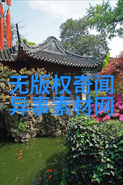 s货c货大声点揭秘市场背后的真相