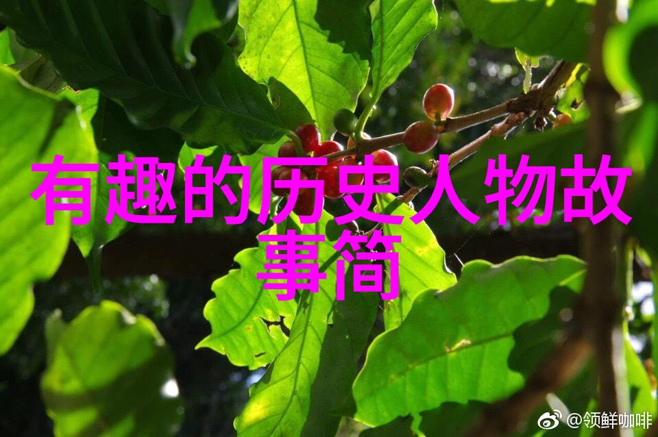 介绍一位历史人物作文400字我和孙中山的故事