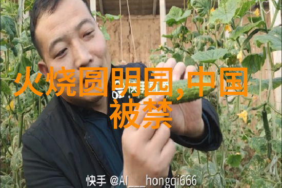 法理制度奠基人谭嗣同康有为的宪政理念