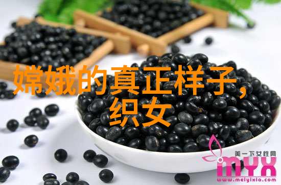 嫡兄的禁裔华阙阙我亲眼见证的荣耀与沉默