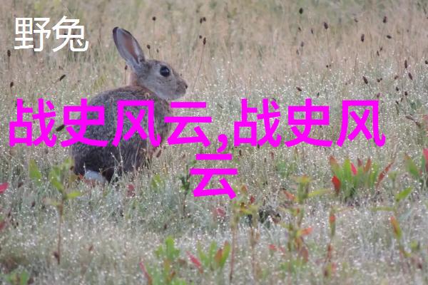 上下五千年野史-穿越时空的记忆揭秘古今中外的隐秘故事