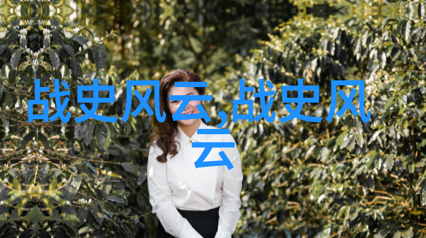 帝都残梦明清交替中的宫廷政变