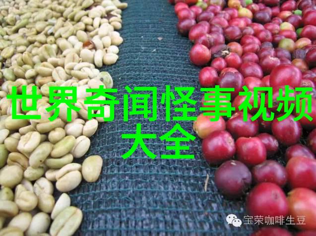 三人团队合作的运动策略探究