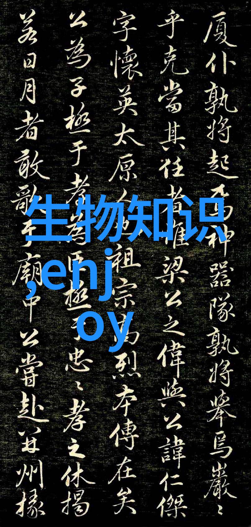 校园热点学生会选举引发激烈角逐