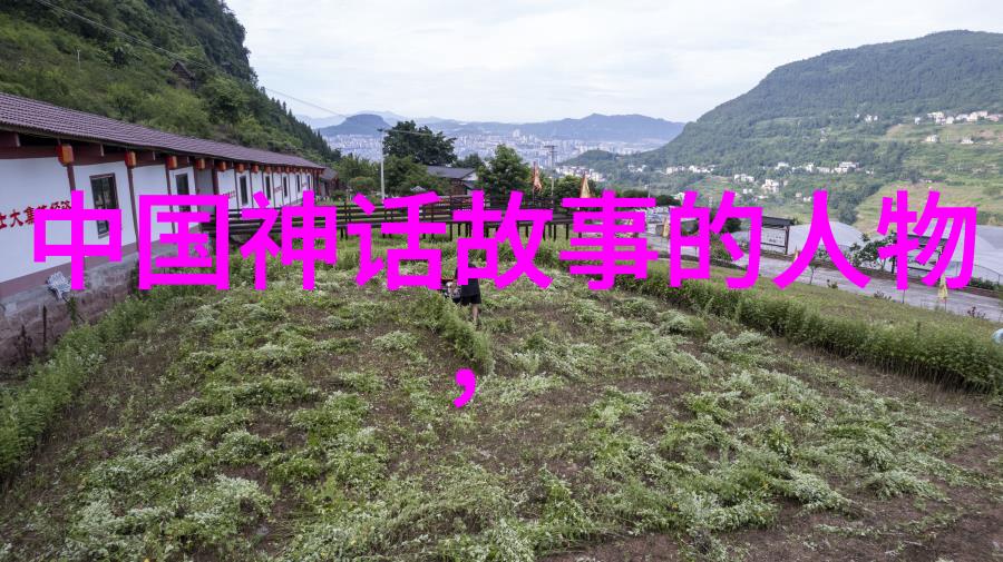 明代皇帝年号变化之谜解析及对后世影响