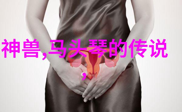 狐狸与乌龟的智慧较量