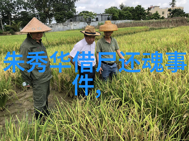 在经历了多少次困难之后阿凡提最终找到了和平吗