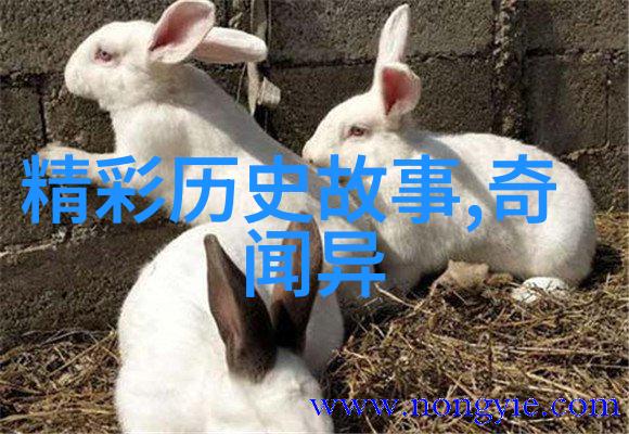 李元膺全国学联成立时间考察