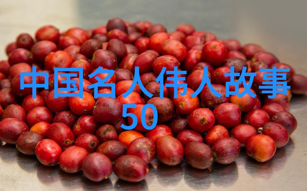 明朝皇帝之谜权力交接的秘密