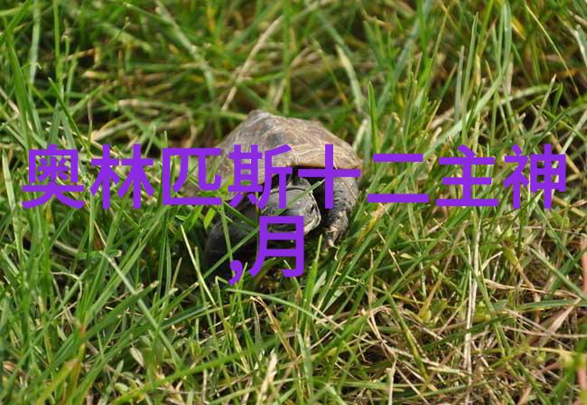 艺术与政治交织达利夫人如何影响了19世纪艺术界