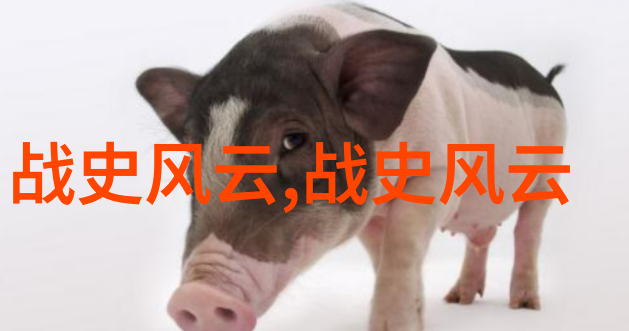 四大名旦谁最厉害孙志宏与京剧票友同台对峙探索艺术巅峰