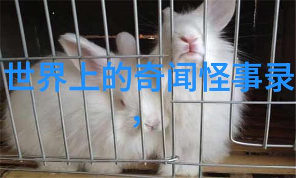血腥魔术与幻觉70年代最具代表性的恐怖电影主题