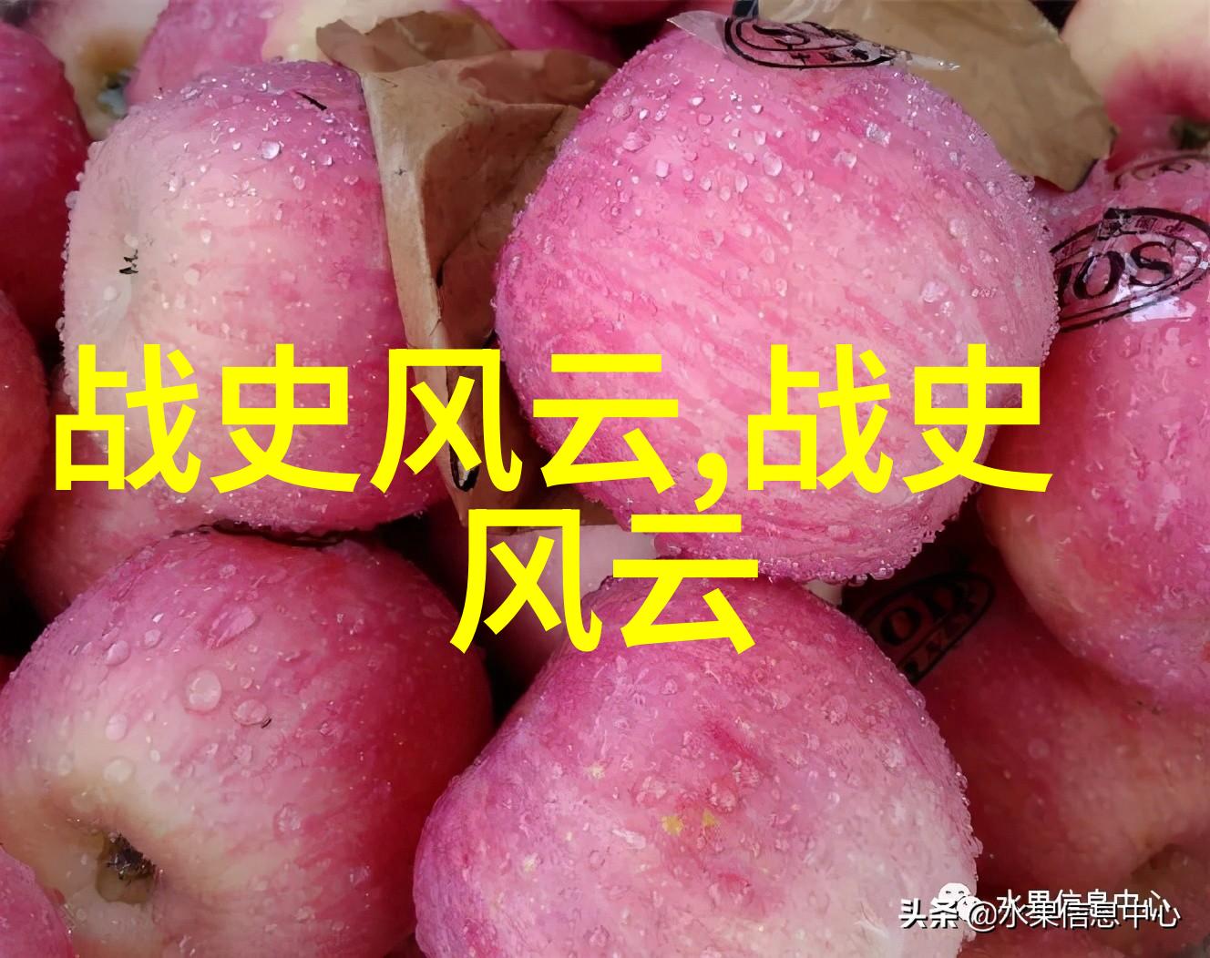 传统经典民间故事我家的那些老故事揭秘爷爷讲的那本神奇书