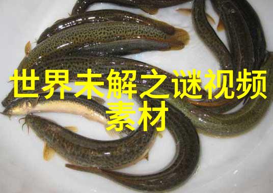 在缺乏专业教练的情况下自行设计三人运动计划可以吗怎么做