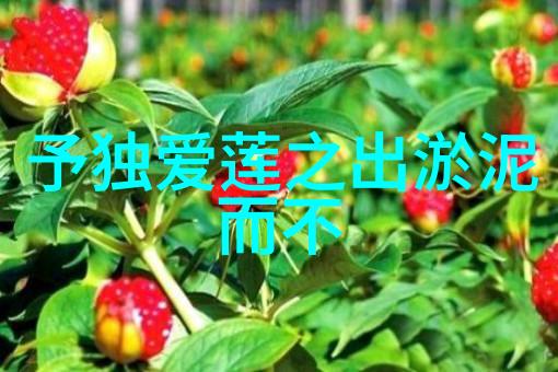 降临之年神秘的八零八