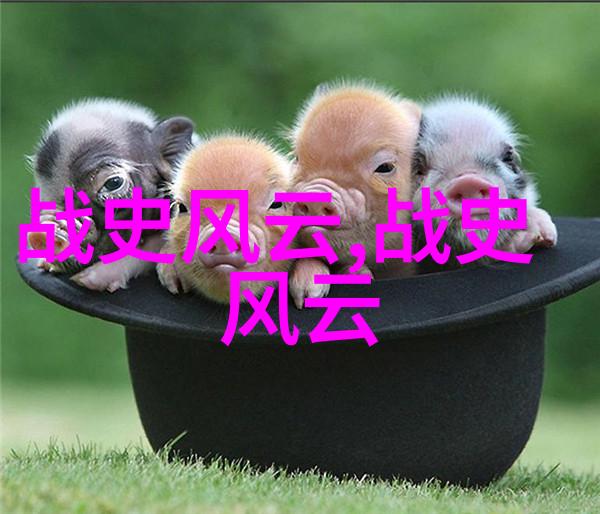 韩币兑换人民币的秘密解锁600万韩元的价值大门