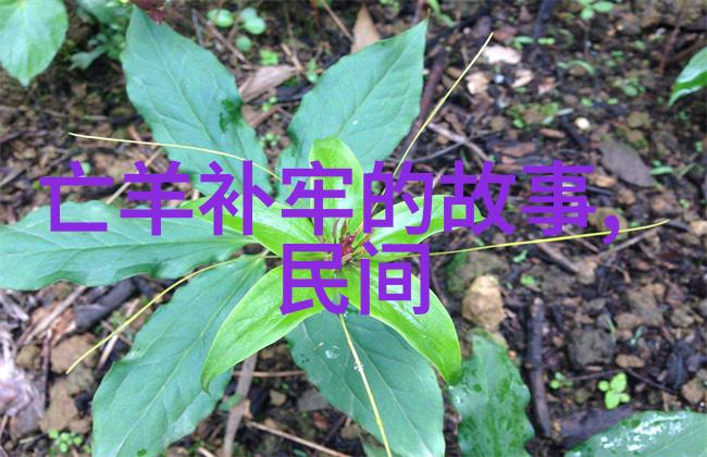 人物故事-英雄的孤独一位勇士的成长