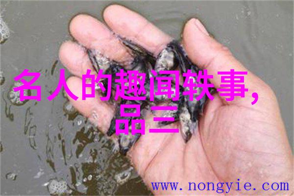 民间故事-传说中的十个古老民间故事揭秘中外文化的深邃面纱