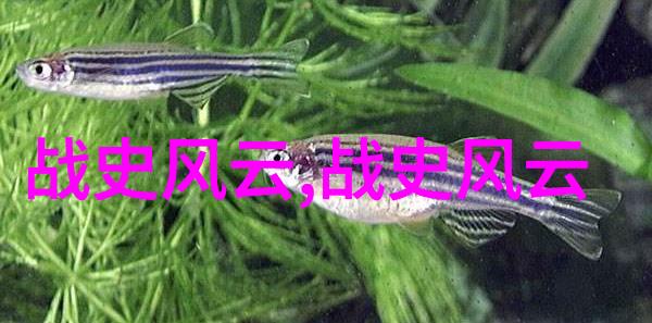 探秘古代传说十大神话故事背后的文化奥义