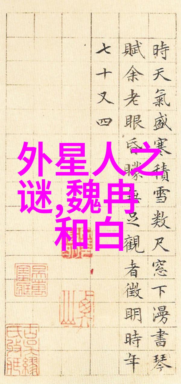 古老时光的回响沉默中的城堡守卫