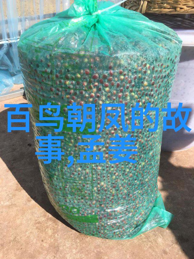 连妃战国名将在自然之美中的沉思