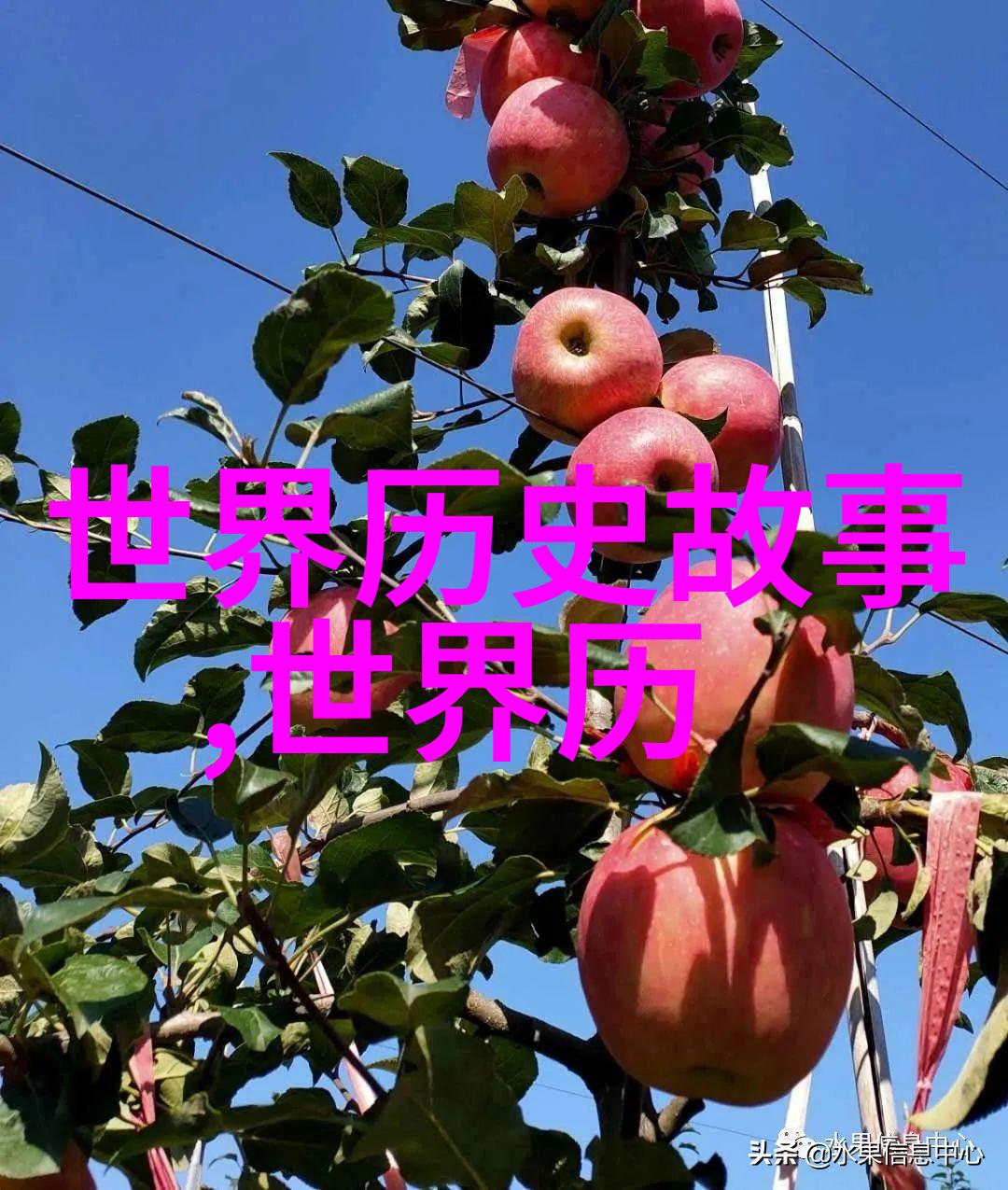 聊斋志异中的鬼魂趣事 蒲松龄笔下的超自然现象
