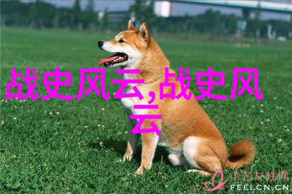 战神狂飙疾风怒吼与英雄崛起