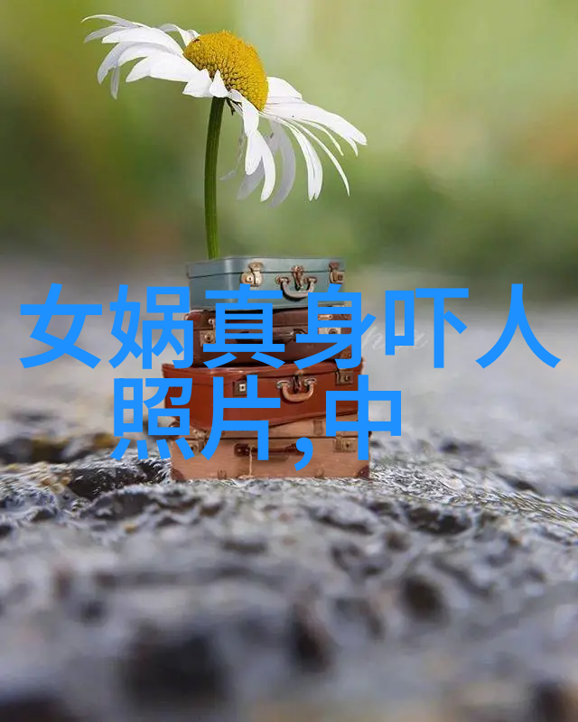 多配偶关系管理技巧如何在一夫多妻中避免嫉妒的发生