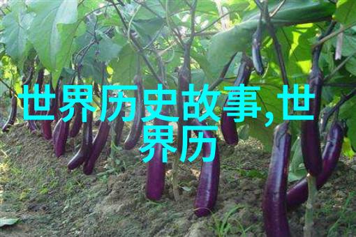 生活百态40种精彩瞬间的故事探索