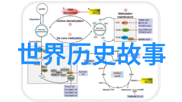 探秘中国古代的奇谭录揭秘那些令人瞩目的野史