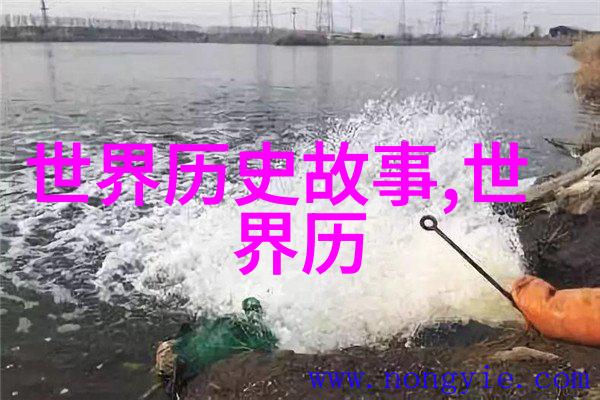 探索生活的多彩篇章40种精彩瞬间等待你的发现