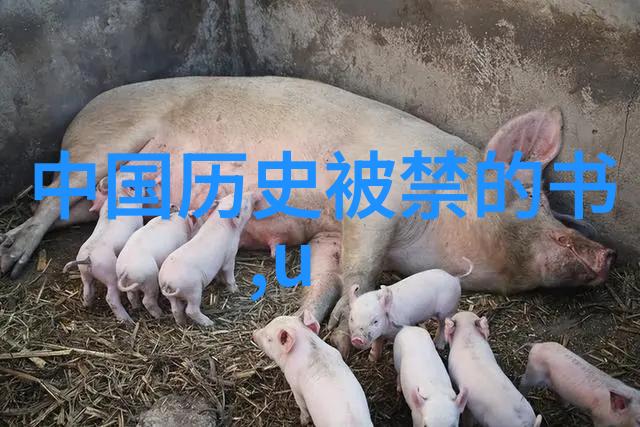 超越年龄界限的智慧一位七岁少年对六十年后的独特理解