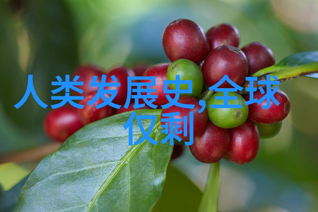 刘邦子孙后代关系图汉高相亲楚汉争霸西汉开国