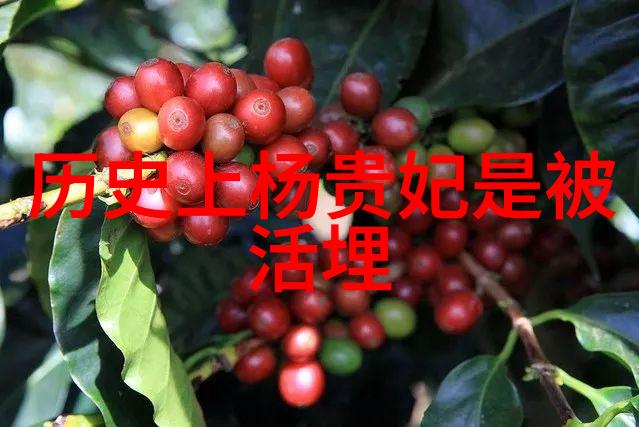 三李是谁比喻许衡1209年1281年如同历史的指南针照亮了宋代文化的光芒