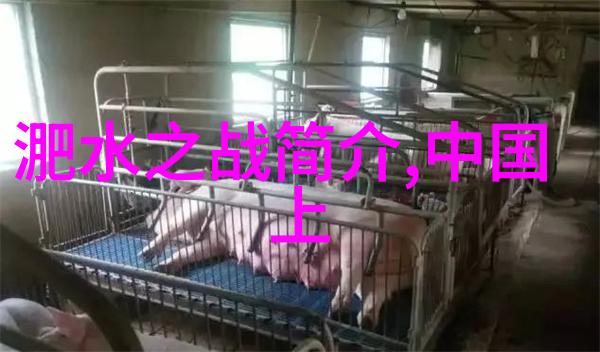 红楼梦中的贾宝玉与林黛玉中国经典传统文化故事中的爱恨纠葛