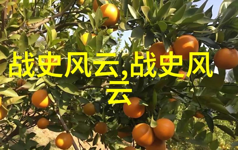 元朝如何通过经济手段削弱并最终吞并了南宋